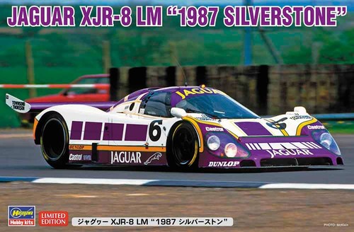 Scale hasegawa jaguar - 1:24,
