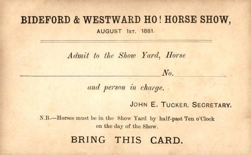 Bideford westward ho horse - bideford, &