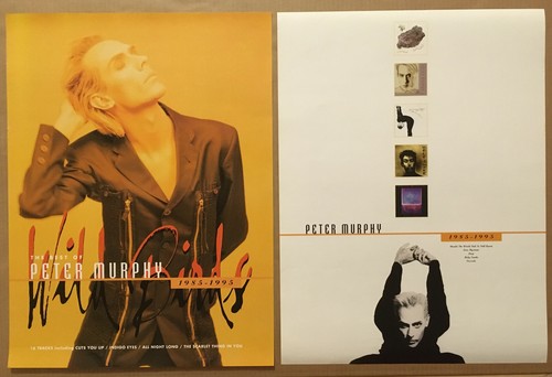 Bauhaus peter murphy 2000 - bauhaus,