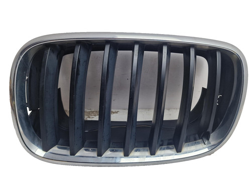 Bmw bumper radiator grill - x5,