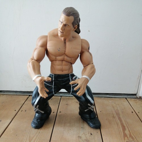 Vintage 2005 jakks pacific wwe - vintage,