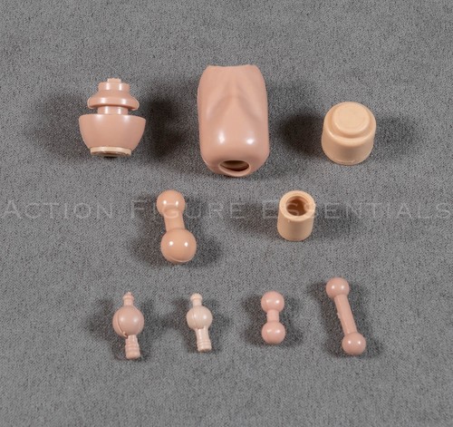 Scale neck wrist foot - 1/6,