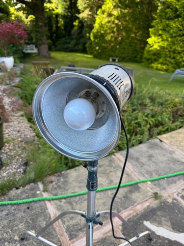 Elinchrom studioflash prolinca - elinchrom,