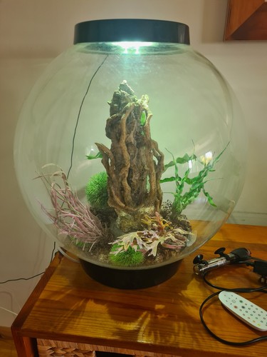 Biorb 60l fish - 60l,