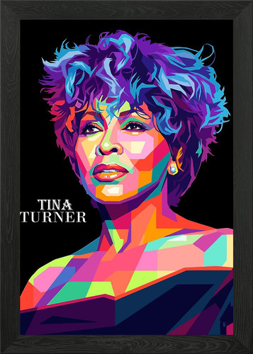 Tina turner pop art portrait - tina,