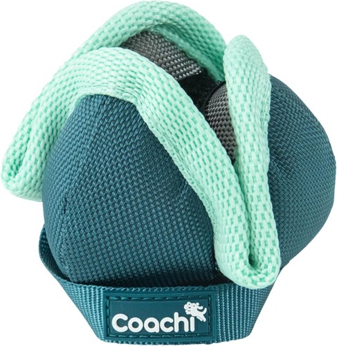 Coachi puppy mini - coachi, treat