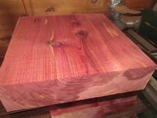 BEAUTIFUL EASTERN RED CEDAR