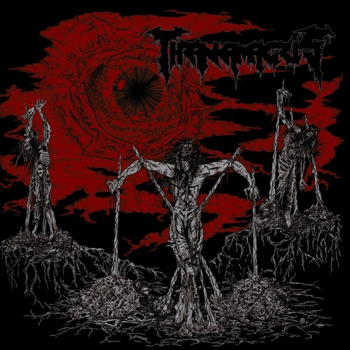 Thanamagus lie wait mcd - lie, in