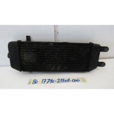 Water Radiator Suzuki Epicuro