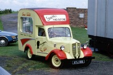 Photo snow white jowett - white,