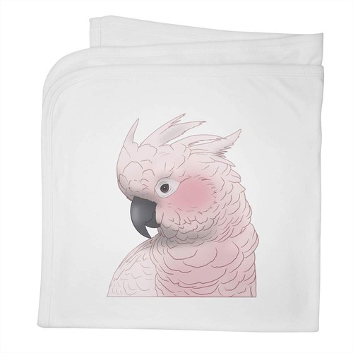Moluccan cockatoo baby - cockatoo',