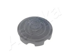 Radiator reservoir cap