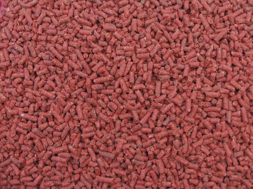 Robin red fishing pellets - robin,