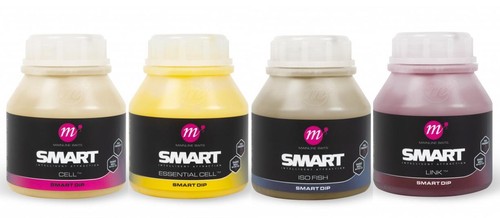 Mainline smart dip - smart,