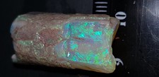 28 CARATS BELEMNITE / PIPE SPECIMEN OPALISED RARE FOSSIL FROM COOBER PEDY
