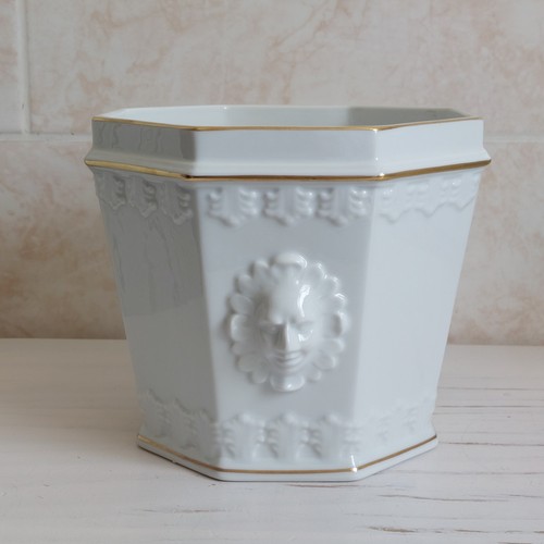 Vista alegre planter plant - alegre,