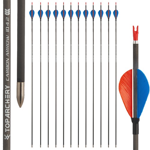 Pure carbon arrows 2 - 31",