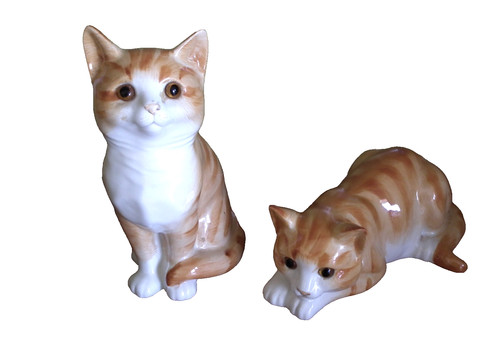 Just cats pair - pair, ginger