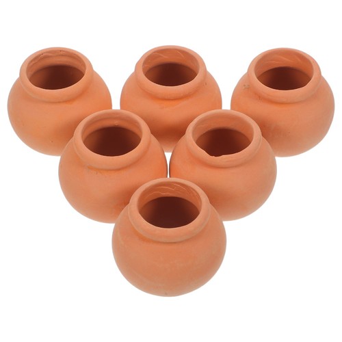 Mini succulent terracotta pots - succulent,