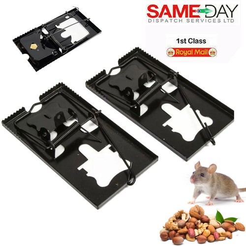 Metal rat trap pest - 2,