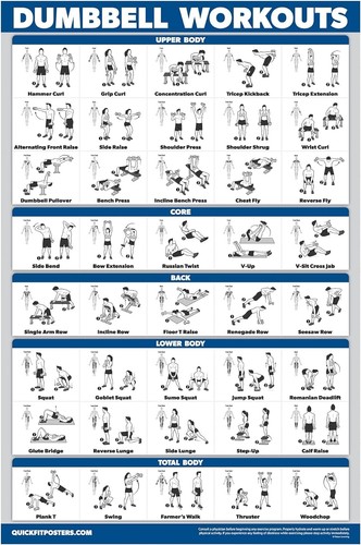 Sale dumbbell workout - sale,
