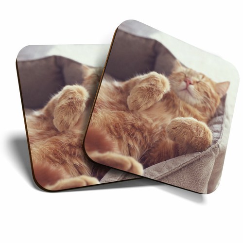 Coasters funny sleeping - x,