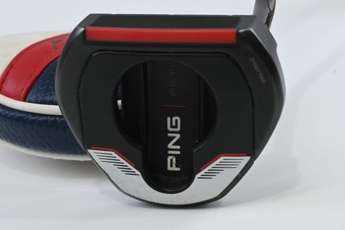 Ping 2021 fetch - 2021, 30