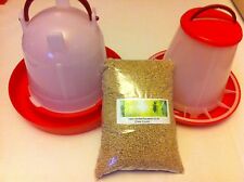 Baby chick crumbs/food starter kit 1kg feeder+1.5L drinker+500g complete feed