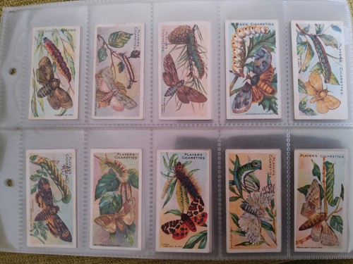 1904 full set john - 1904,