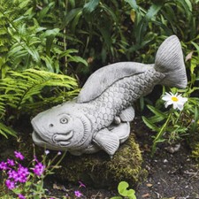 Fantastically Detailed Koi