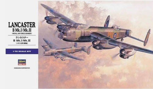 Hasegawa royal air - air, force