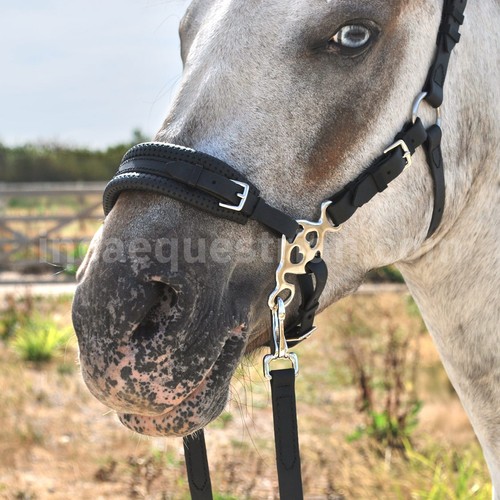 Love hackamore bitless bridle - love,