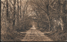 Thetford, Norfolk - Green Lane