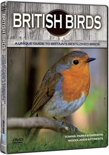 British birds towns parks - british, birds: