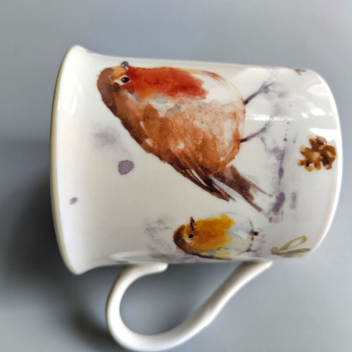 Winter robins bird - winter,