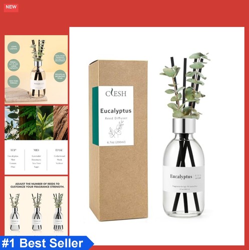 Reed diffuser set oz - diffuser,