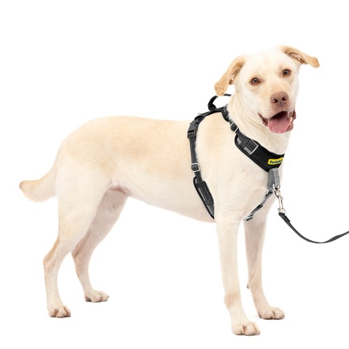 Petsafe easy walk comfort - easy,