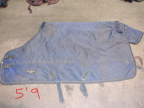Shires stormbreaker blue - shires,