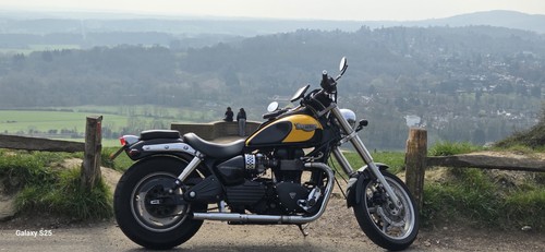 Triumph speedmaster 800cc 2004 - triumph,