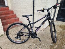 Local Delivery Giant bike