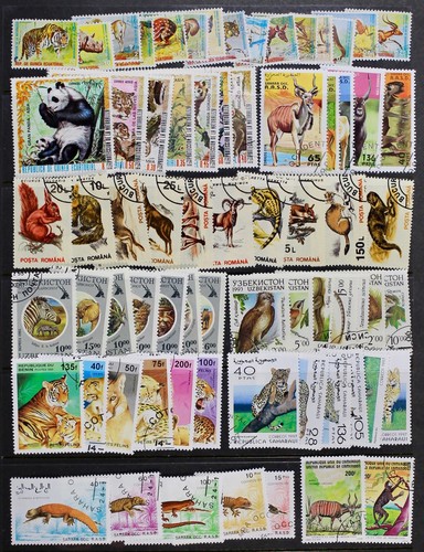 Worldwide wild animals on - wild,