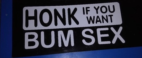 Honk you want bum - you, sex