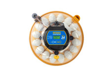 Brinsea maxi egg - 24, ex