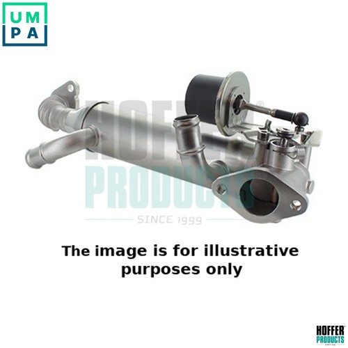 Cooler exhaust gas - cooler,
