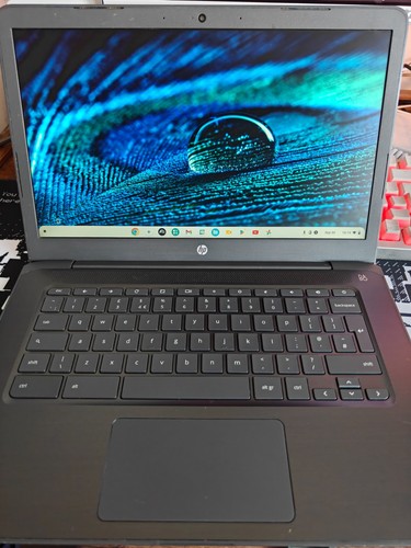 Chromebook db0003na 14 - chromebook,