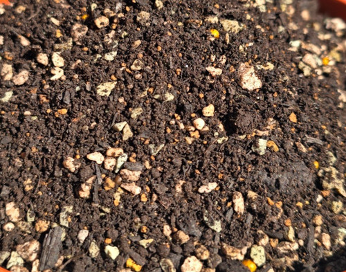 Houseplant soil booster - houseplant,