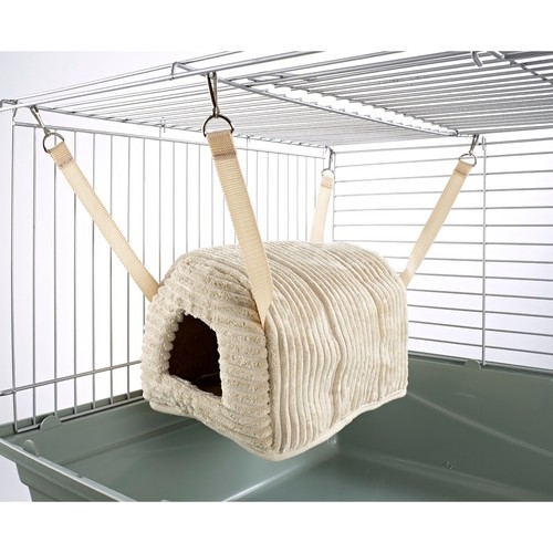 Rat degu gerbil - rat,