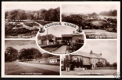 Cannock chase multiview inc - chase.,