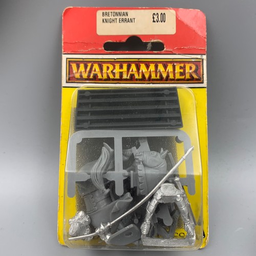 Bretonnian knight errant - knight,
