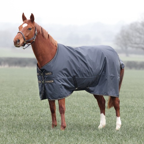 Shires typhoon pony horse - typhoon, pony/horse